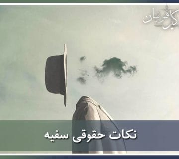 نکات مهم درباره سفیه